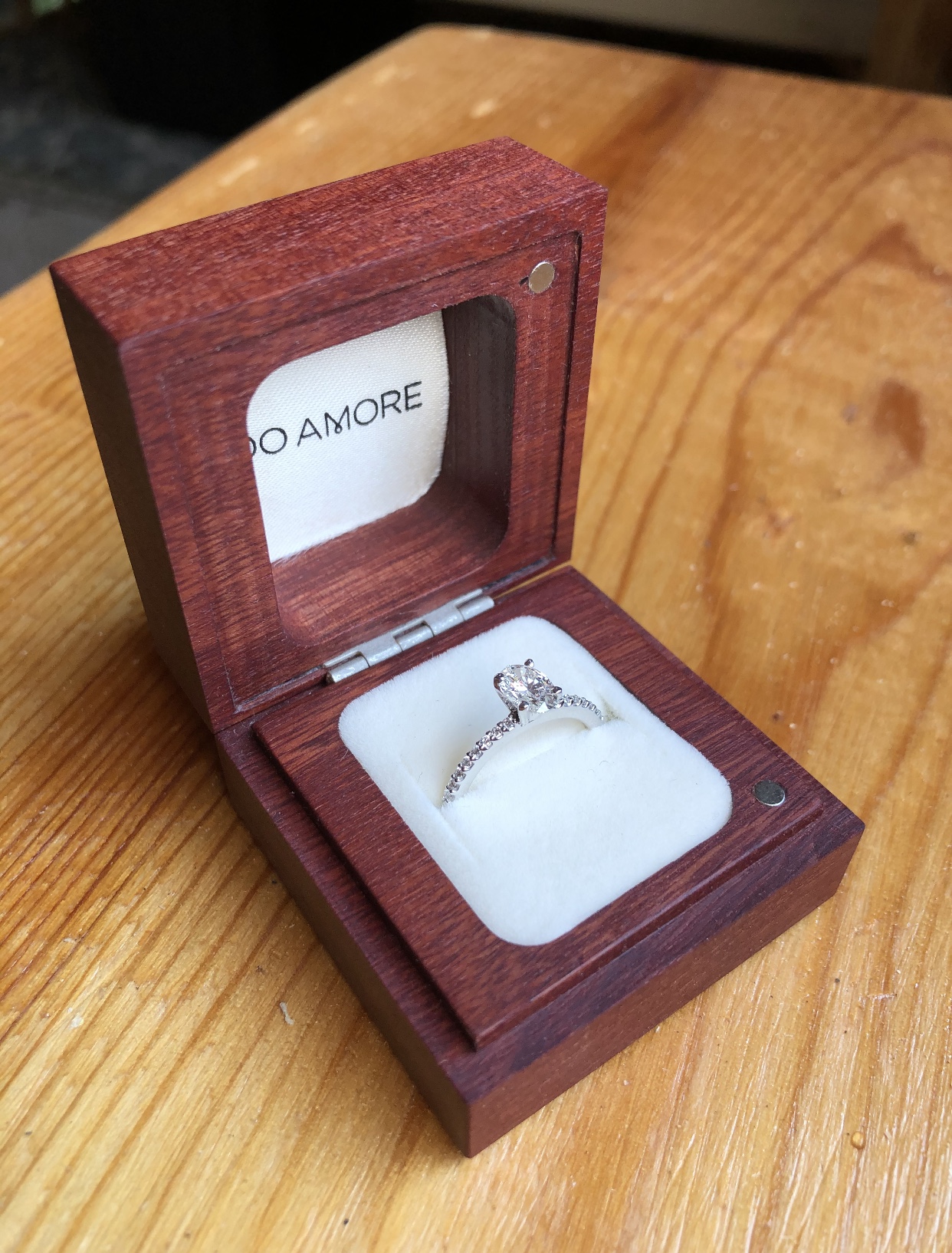 Do Amore Dainty Engagement Ring - Petite Diana Engagement Ring - Do Amore
