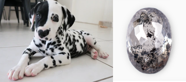 Dalmatian salt n pepper diamond