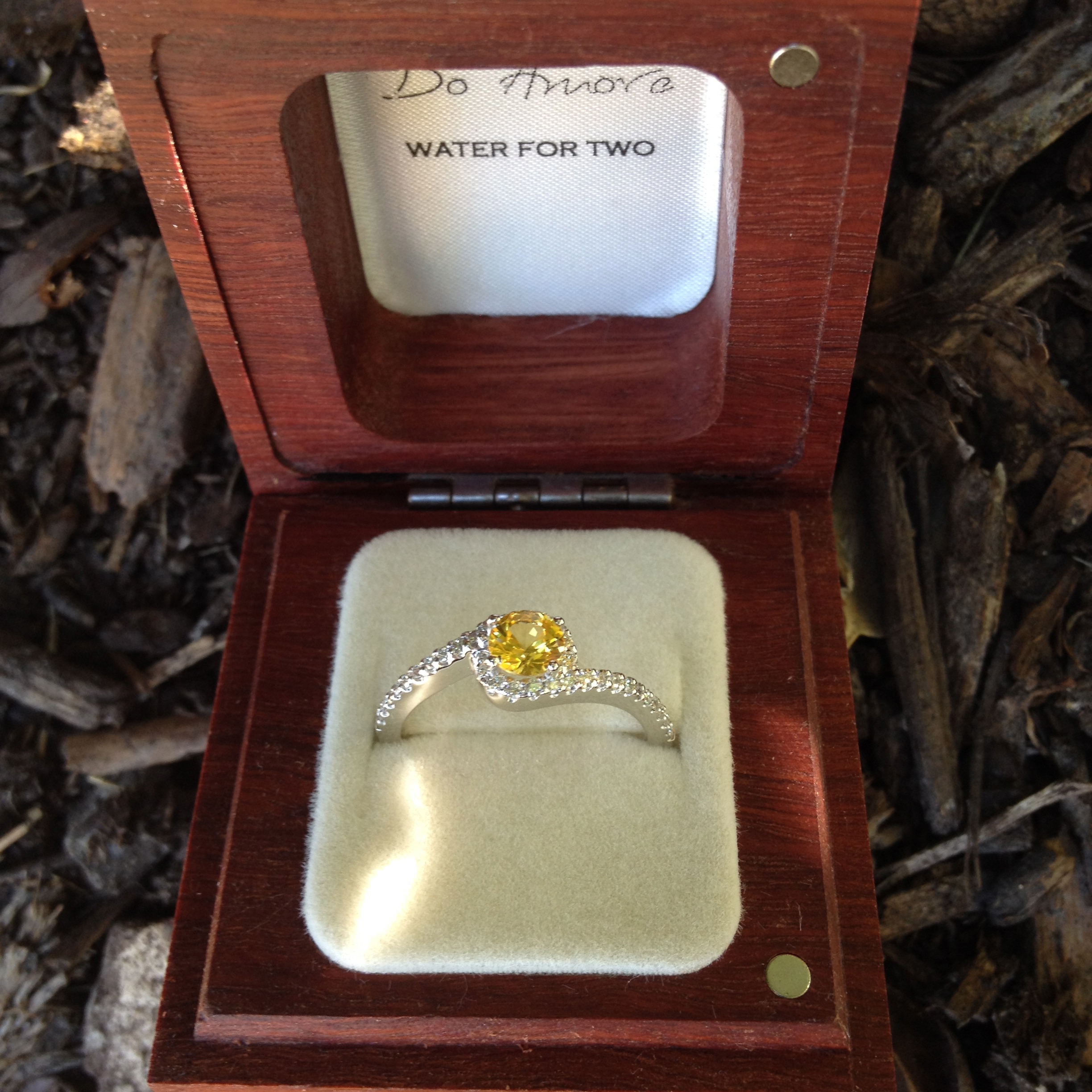 Yellow Sapphire Engagement Rings from Do Amore