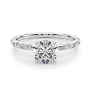 round cut diamond burnished diamond engagement ring in platinum
