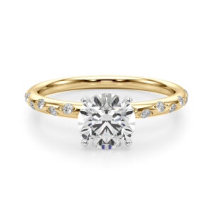 round cut diamond burnished diamond engagement ring in yellow gold