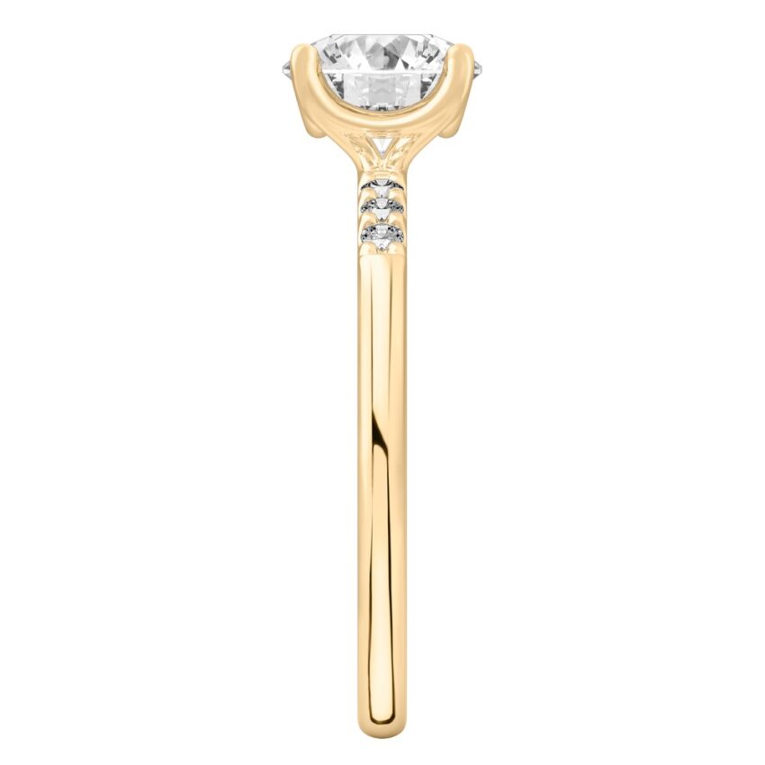 Side view of round cut diamond minimalist pave engagement ring in yellow gold