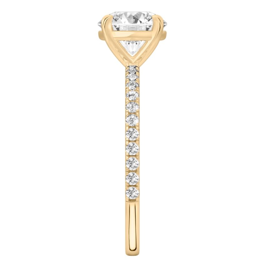 Side view of round cut diamond delicate pave engagement ring in yellow gold