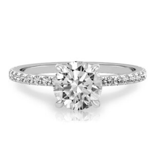 round cut diamond delicate pave hidden halo engagement ring in platinum
